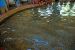 2012-06-22, 026, St. Louis Zoo