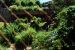 2012-06-22, 034, St. Louis Zoo