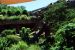 2012-06-22, 035, St. Louis Zoo