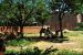 2012-06-22, 044, St. Louis Zoo