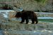 2012-06-22, 067, St. Louis Zoo