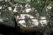 2012-08-05, 021, Pipestone National Monument, MN