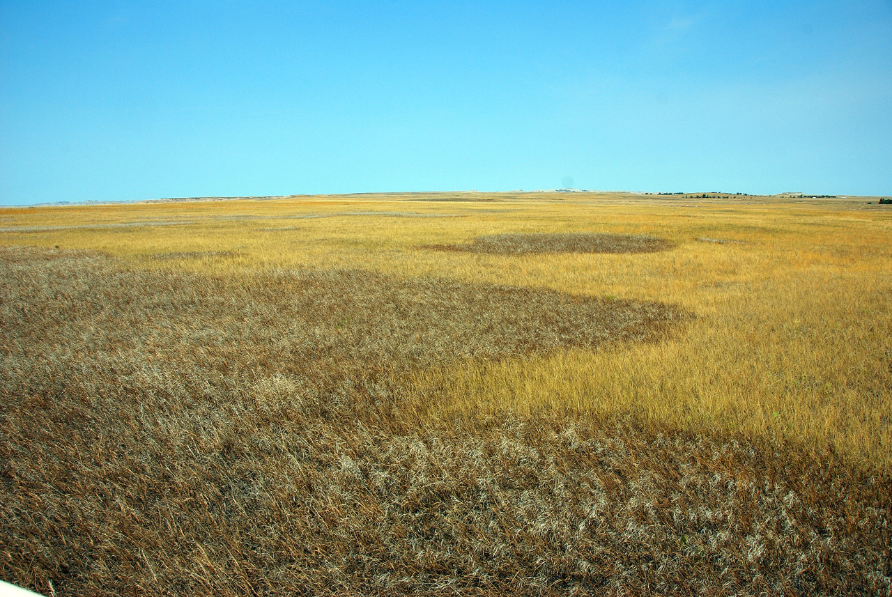 2012-08-10, 014, Prairie Wind