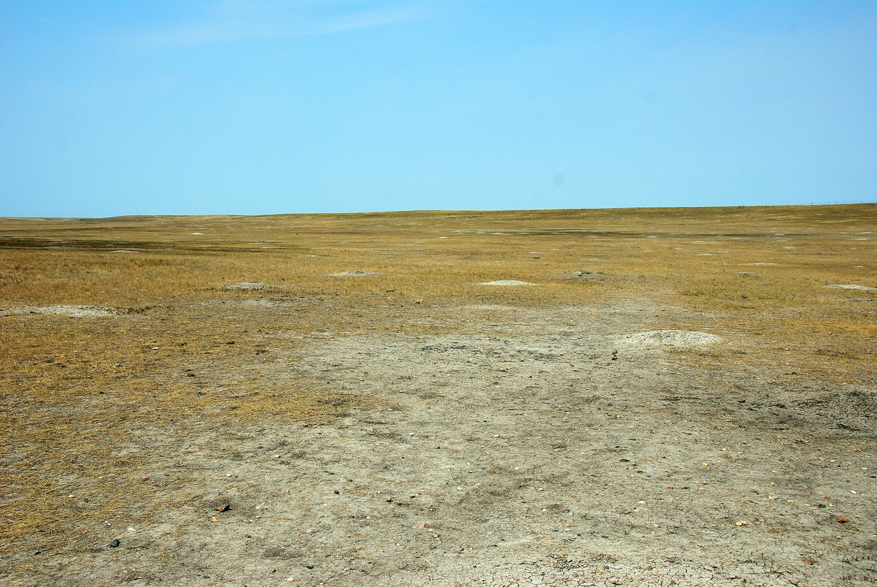 2012-08-10, 074, Prairie Dog Town