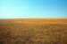 2012-08-10, 016, Prairie Wind