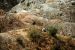 2012-08-10, 058, Big Horn Sheep