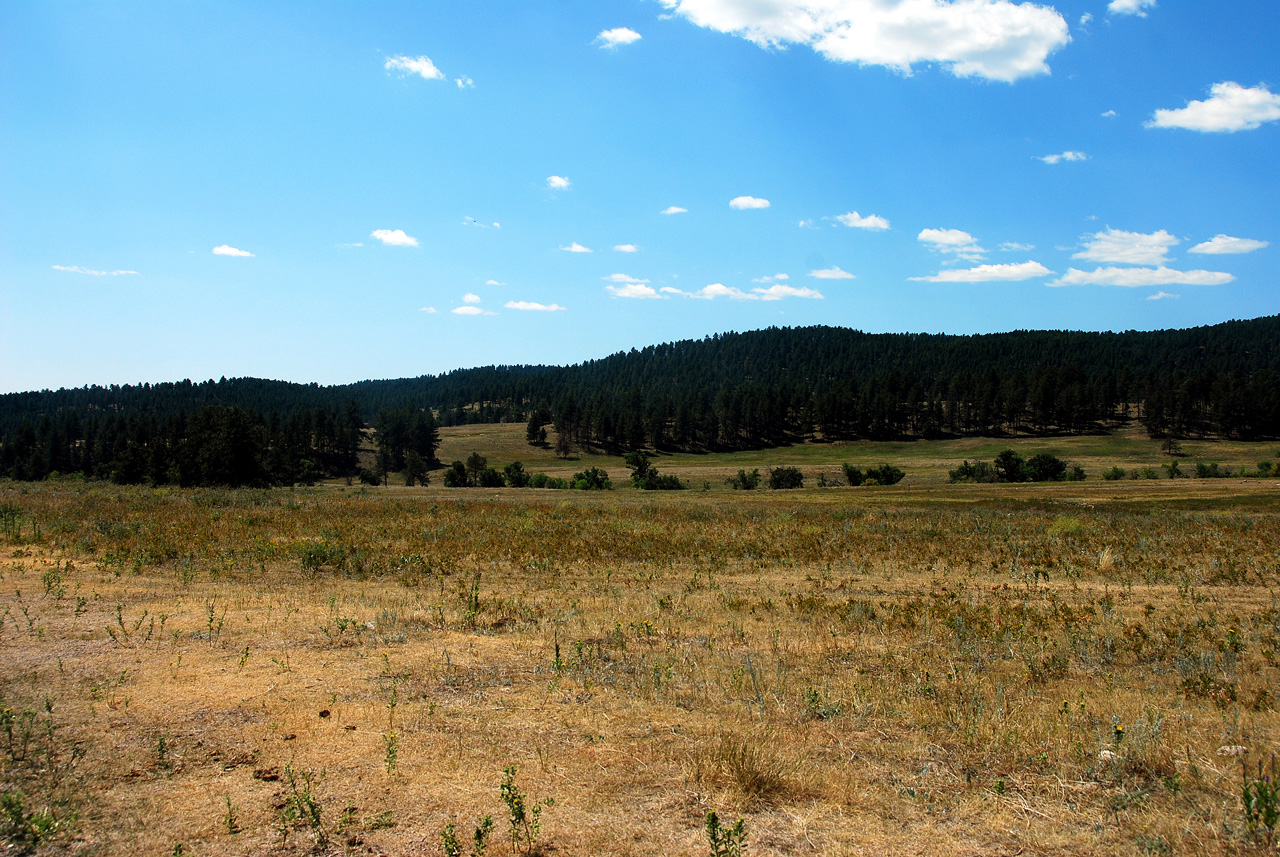 2012-08-19, 005, Custer State Park