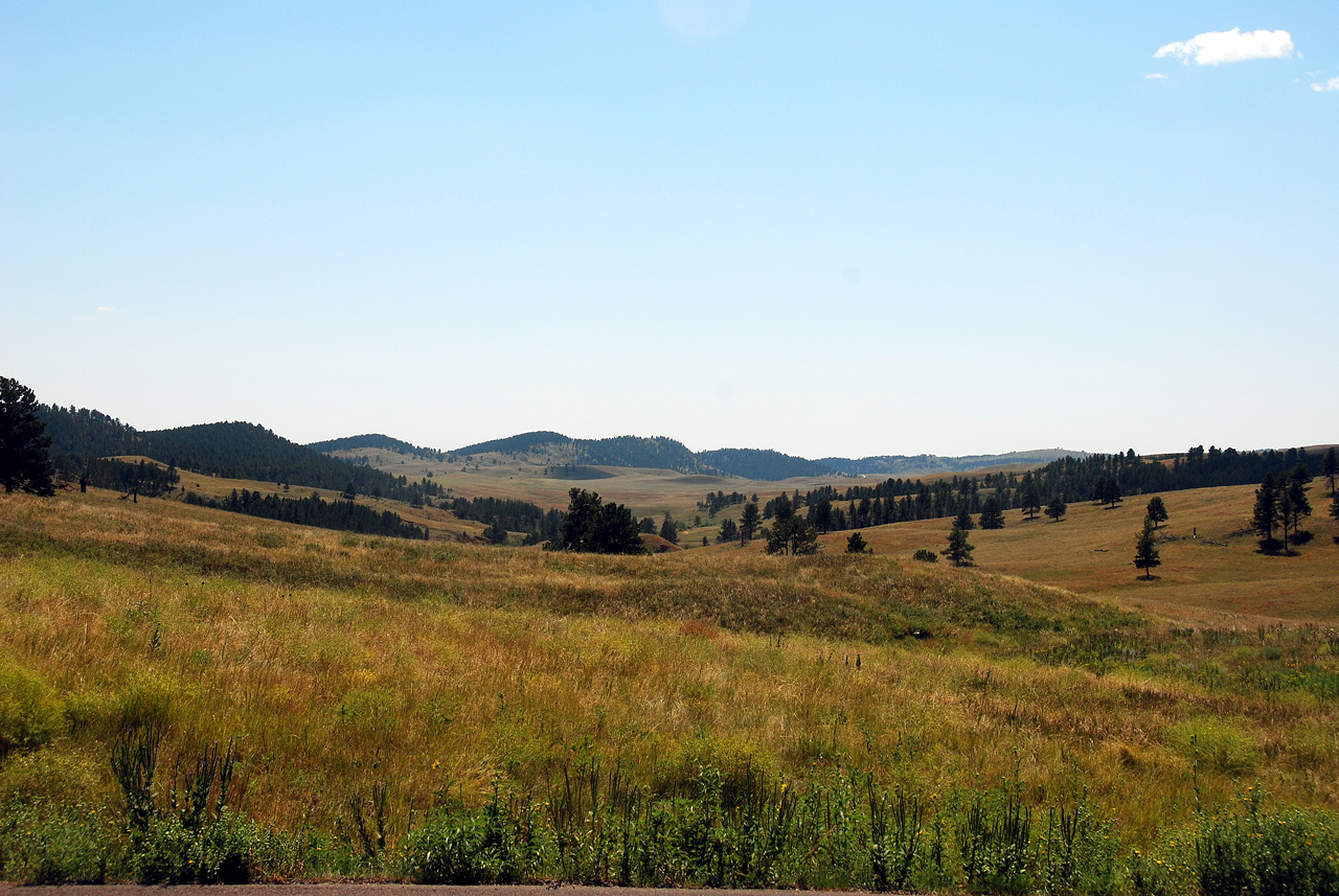 2012-08-19, 009, Custer State Park