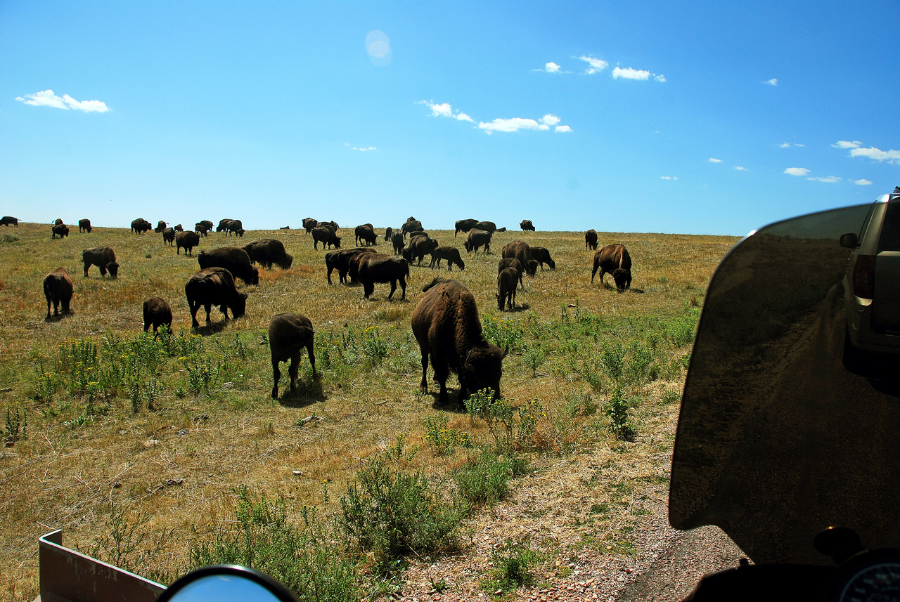 2012-08-19, 011, Custer State Park