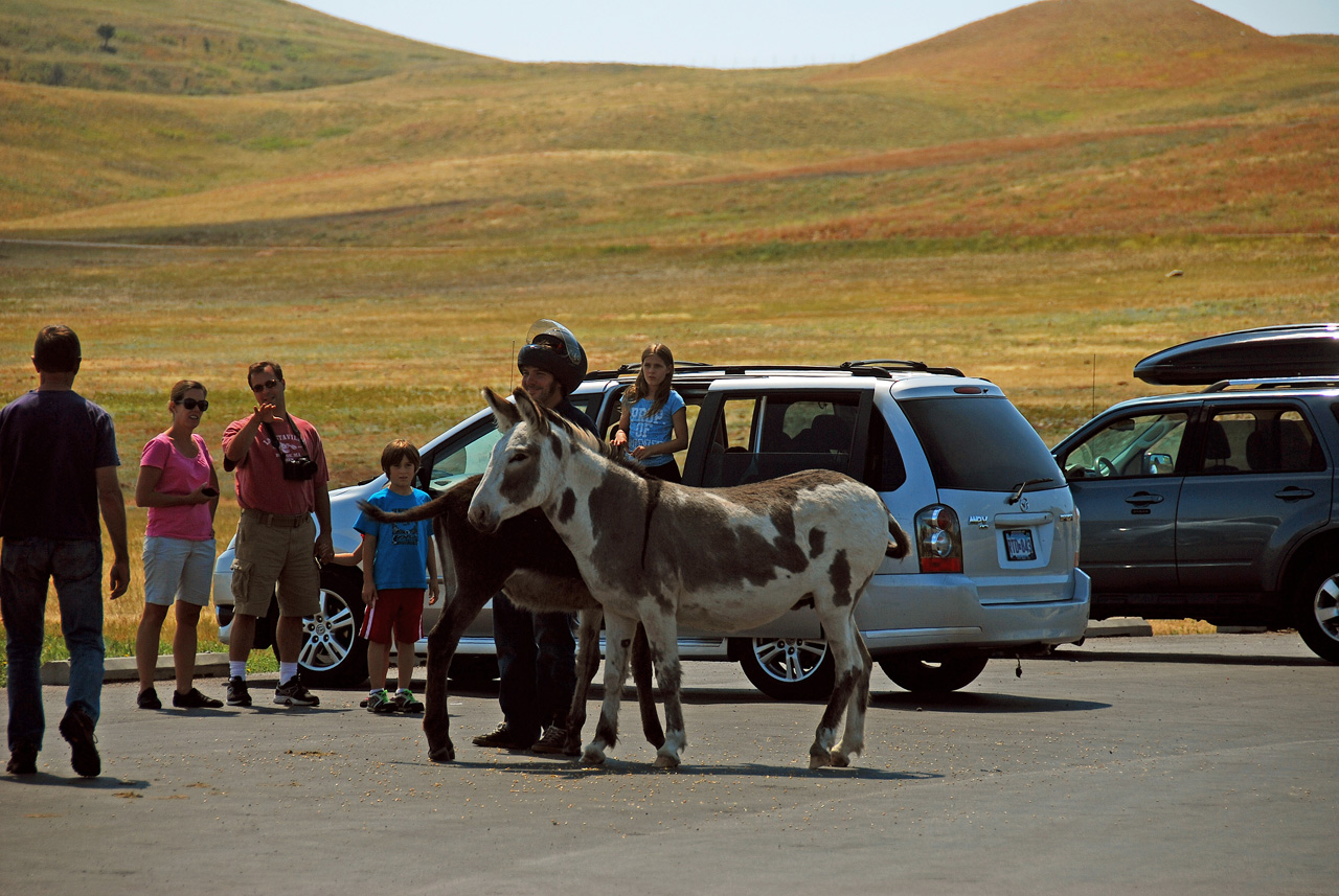 2012-08-19, 017, Custer State Park