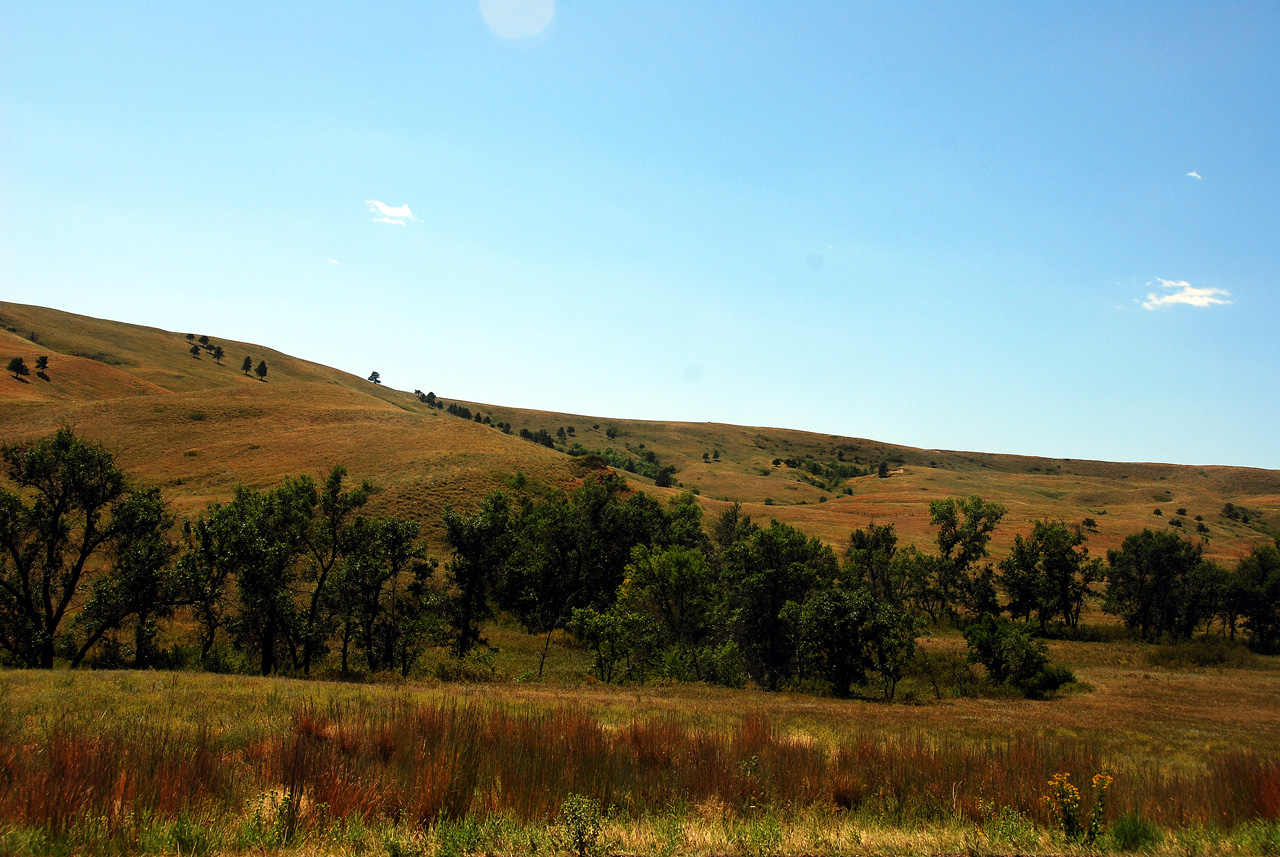 2012-08-19, 018, Custer State Park