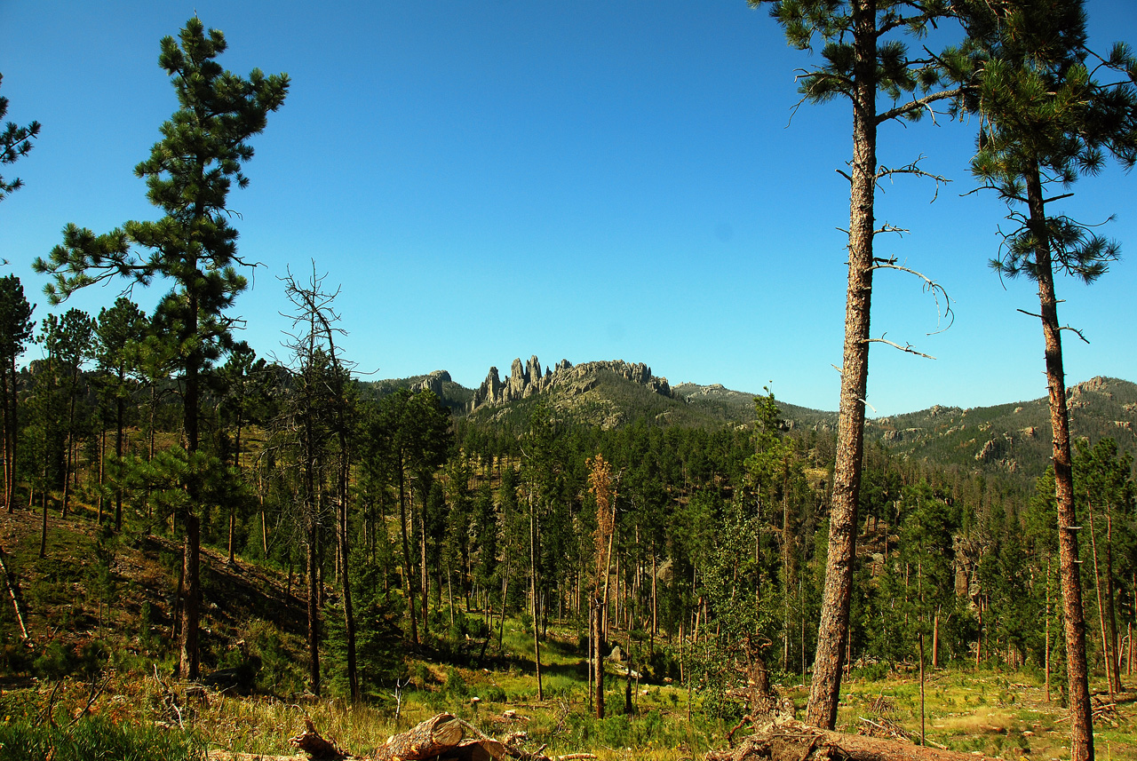 2012-08-19, 035, Custer State Park