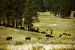 2012-08-19, 002, Custer State Park