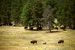 2012-08-19, 003, Custer State Park