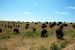 2012-08-19, 014, Custer State Park