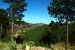 2012-08-19, 023, Custer State Park