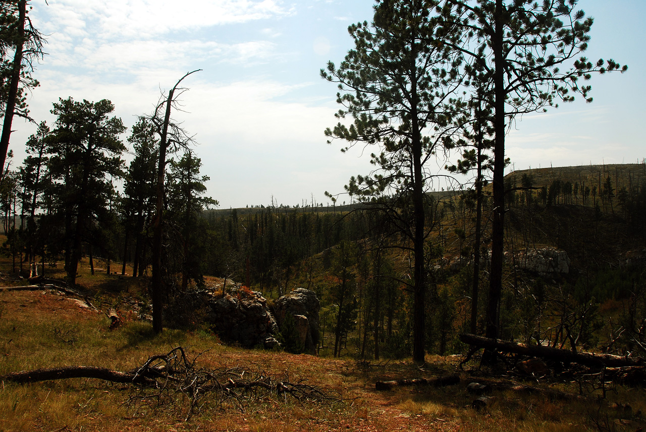 2012-08-23, 005, Jewel Cave NM, SD