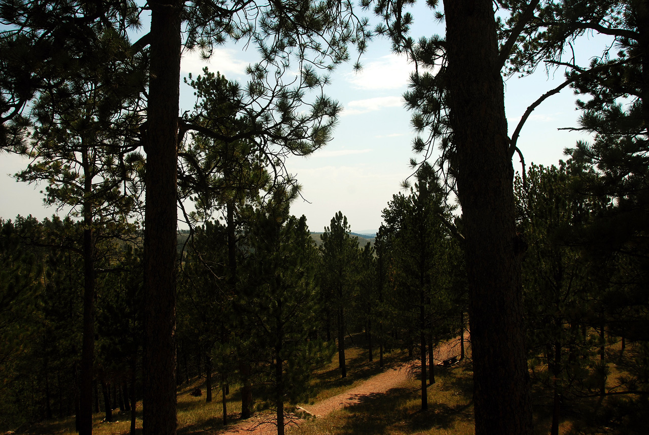 2012-08-23, 006, Jewel Cave NM, SD