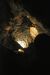 2012-08-23, 032, Jewel Cave NM, SD