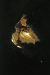 2012-08-23, 033, Jewel Cave NM, SD