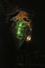 2012-08-23, 045, Jewel Cave NM, SD