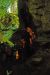 2012-08-23, 052, Jewel Cave NM, SD