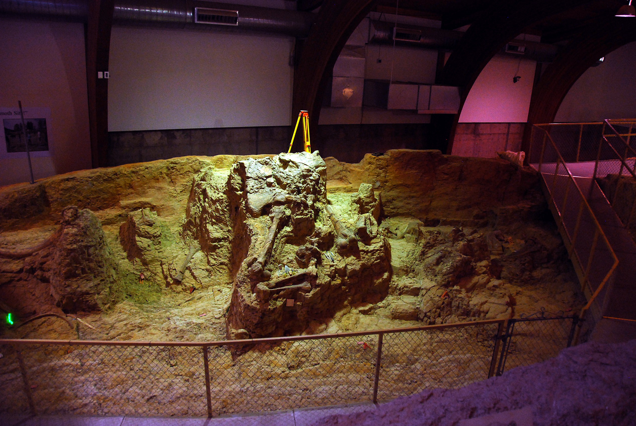 2012-08-21, 008, Mammoth Site, SD