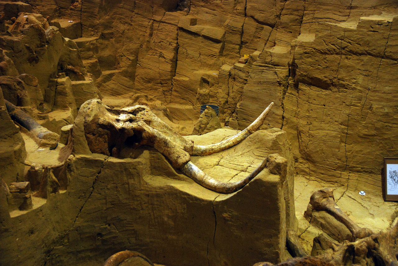 2012-08-21, 013, Mammoth Site, SD