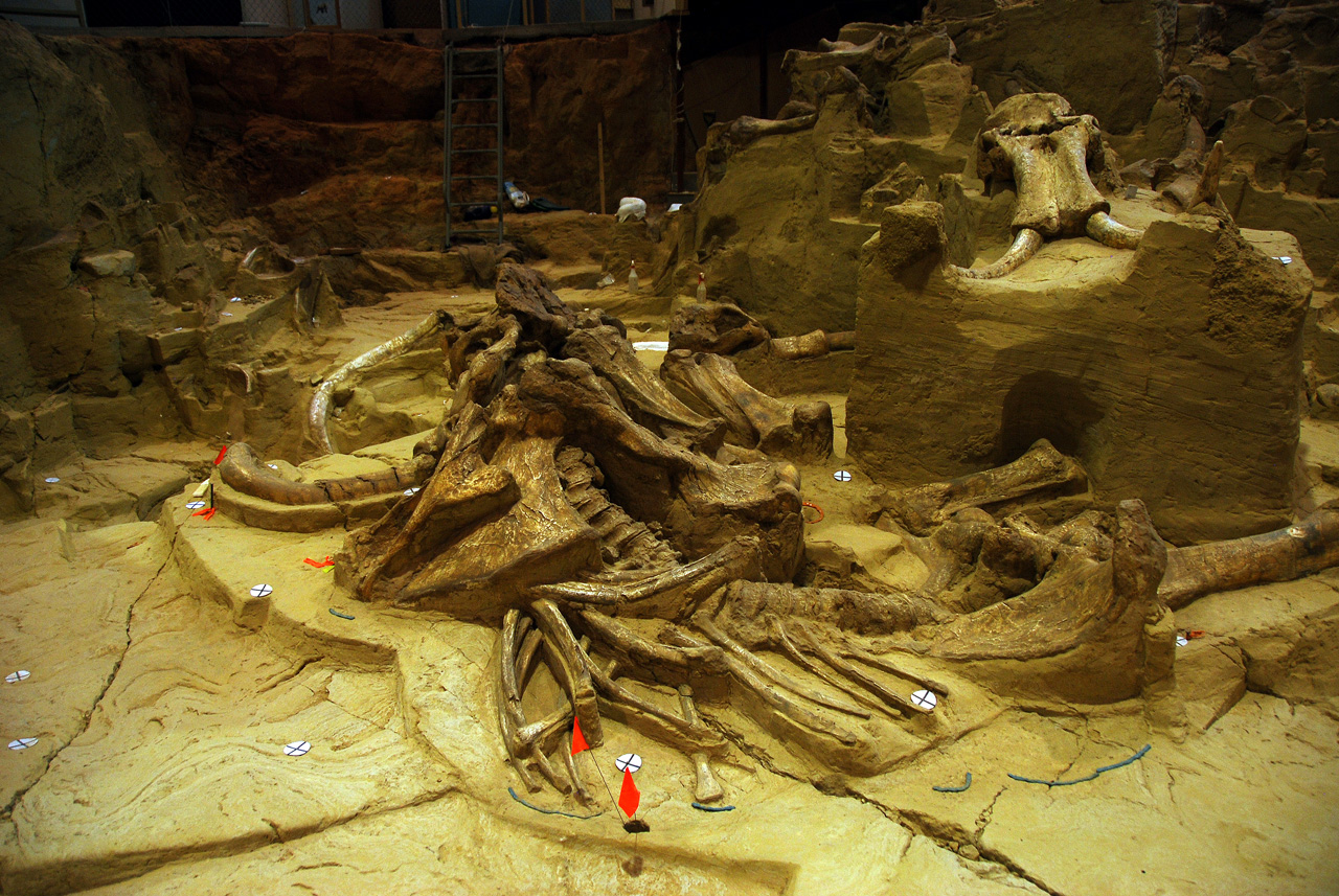 2012-08-21, 019, Mammoth Site, SD