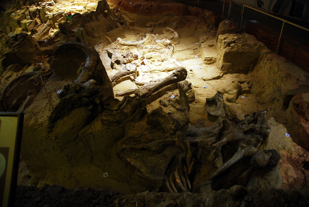 2012-08-21, 023, Mammoth Site, SD