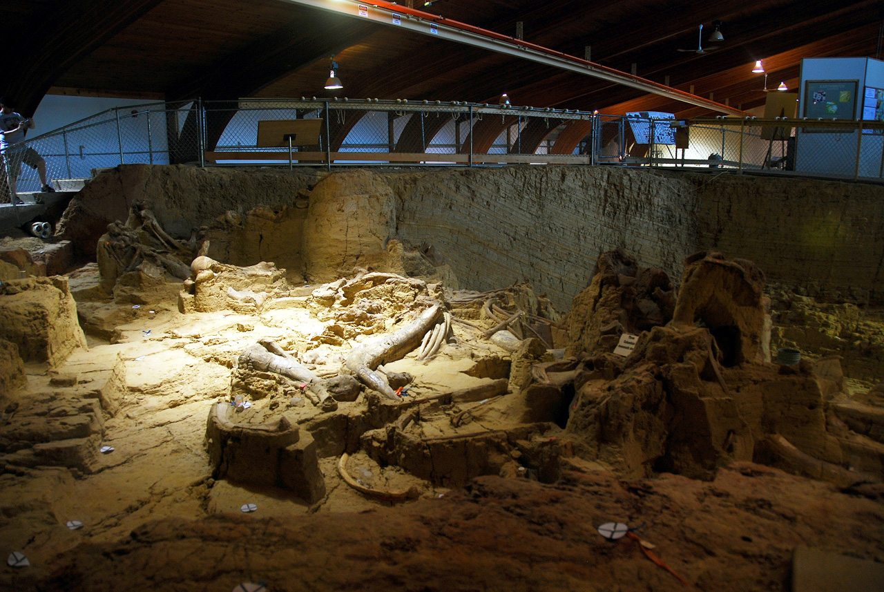 2012-08-21, 024, Mammoth Site, SD