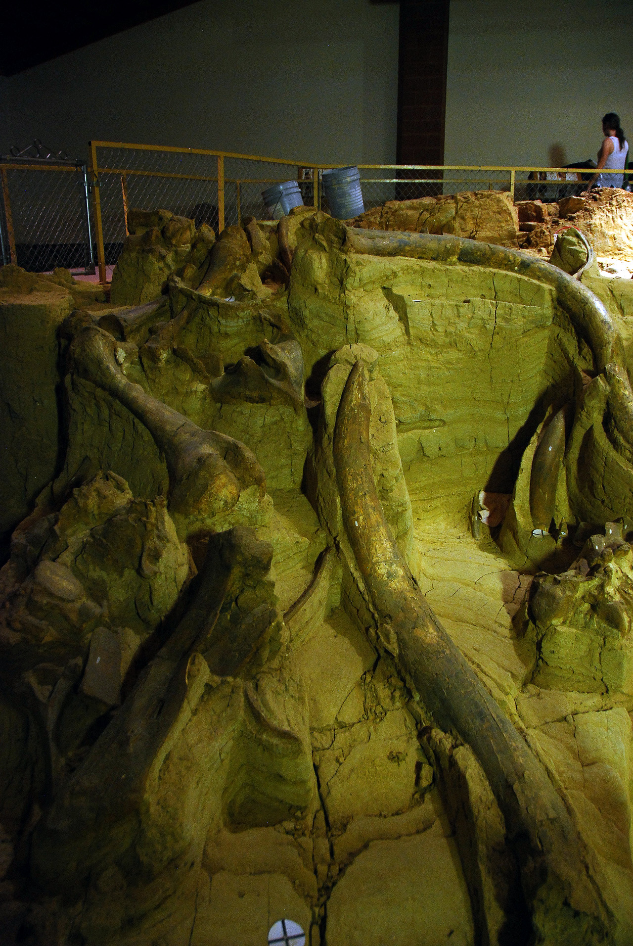 2012-08-21, 025, Mammoth Site, SD