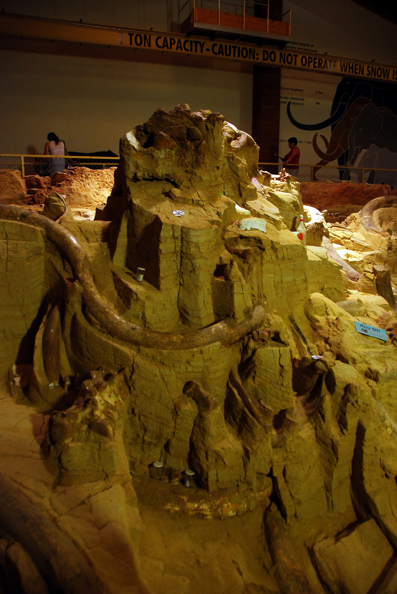 2012-08-21, 026, Mammoth Site, SD