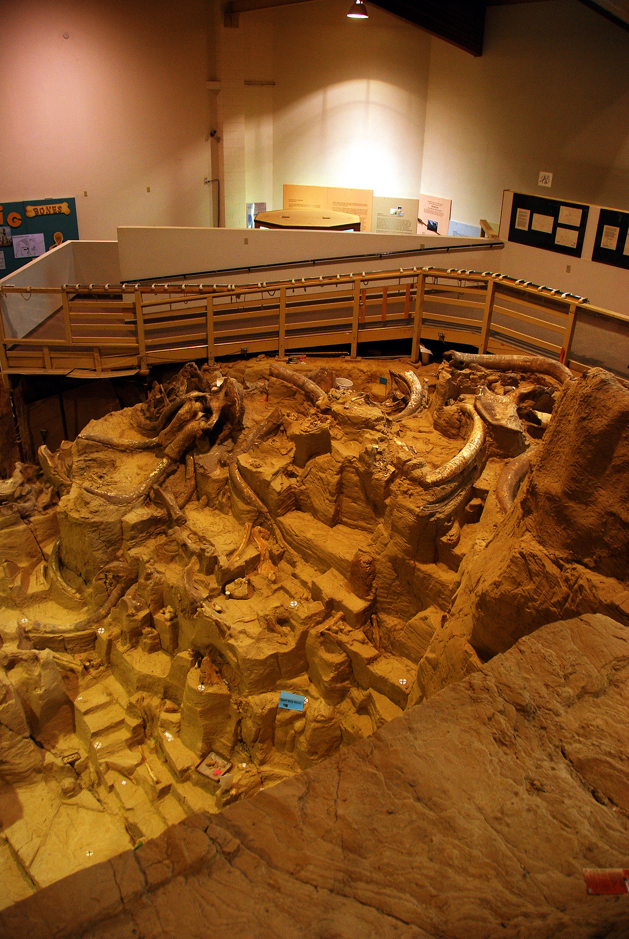 2012-08-21, 029, Mammoth Site, SD
