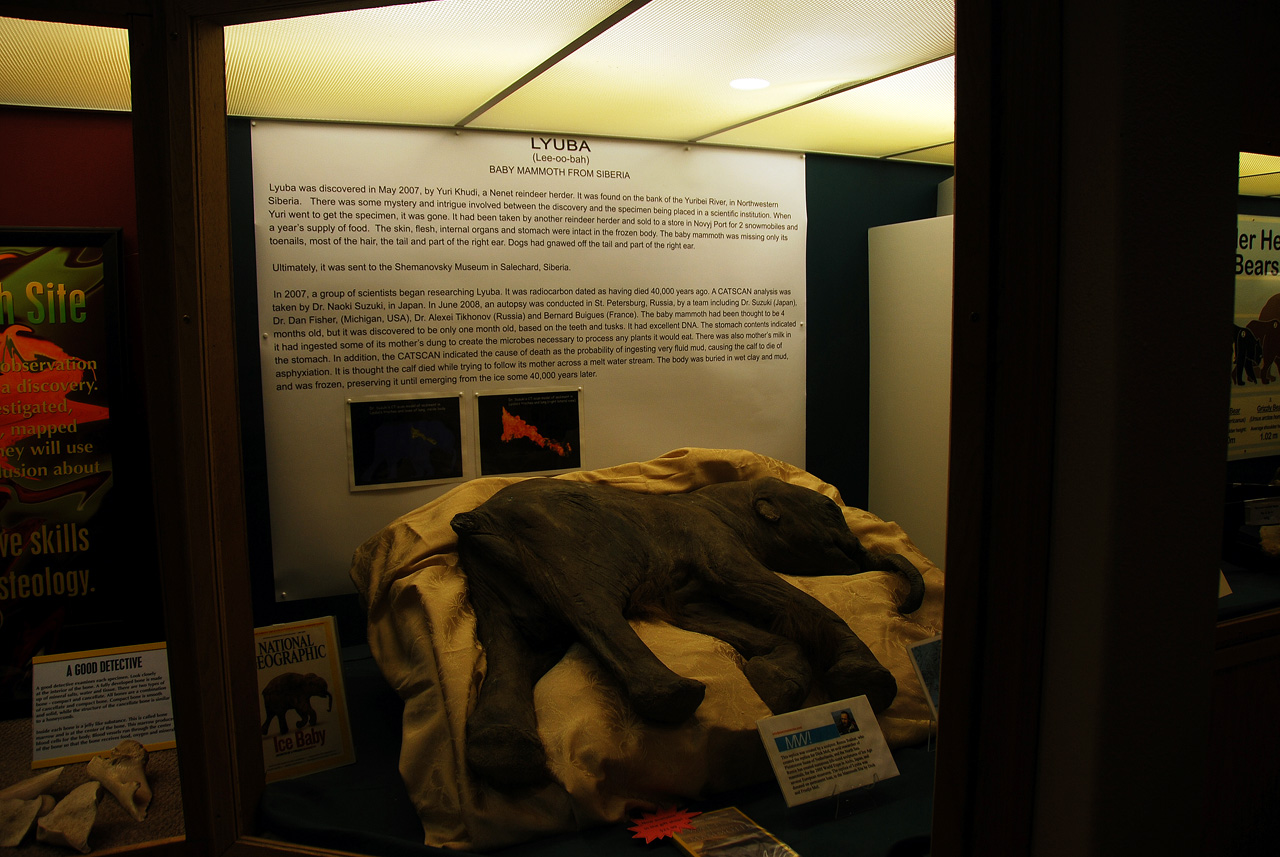 2012-08-21, 035, Mammoth Site, SD