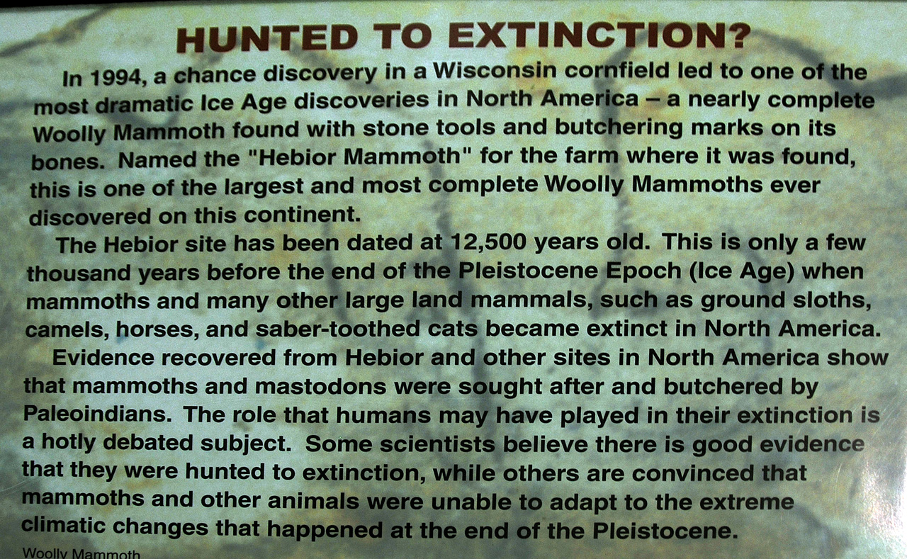 2012-08-21, 036, Mammoth Site, SD