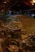 2012-08-21, 006, Mammoth Site, SD