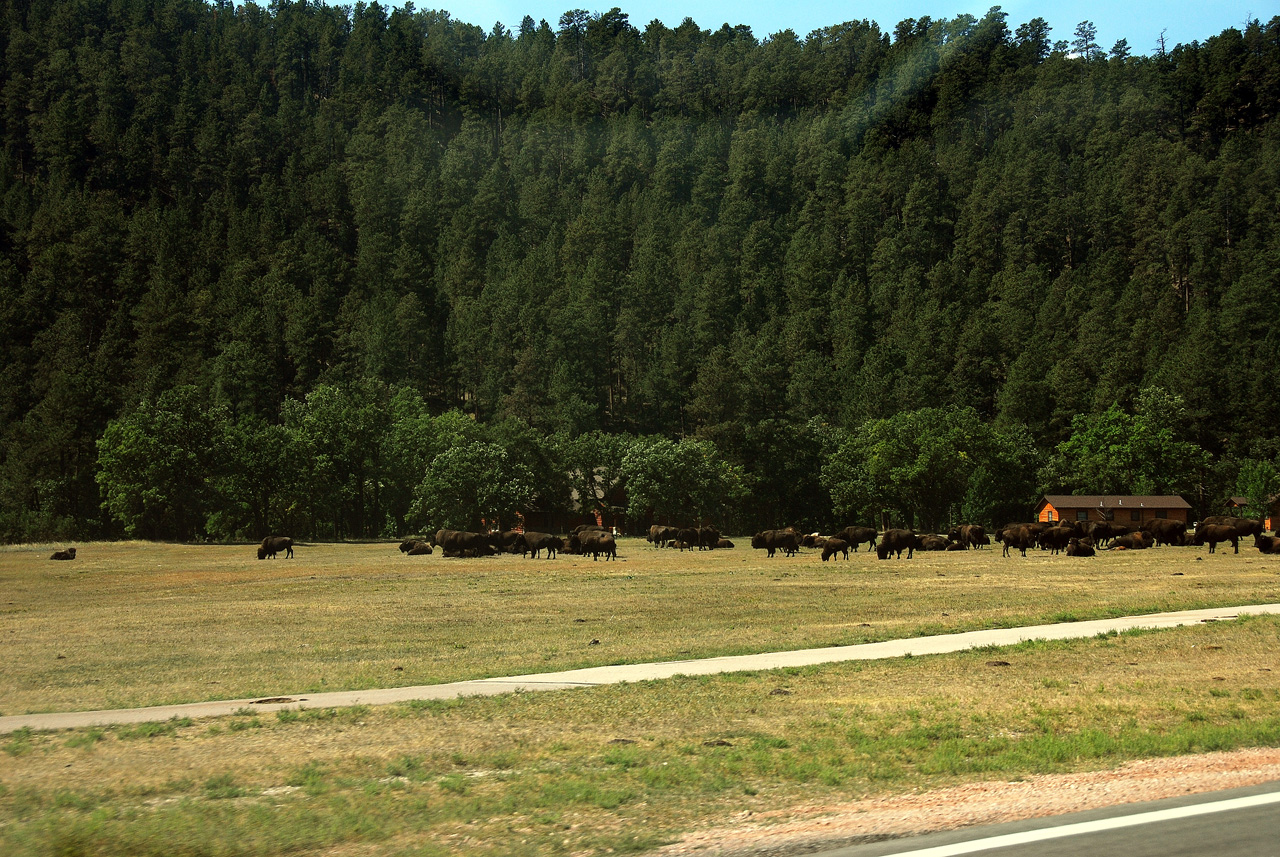 2012-08-21, 003, Wind Cave NP, SD