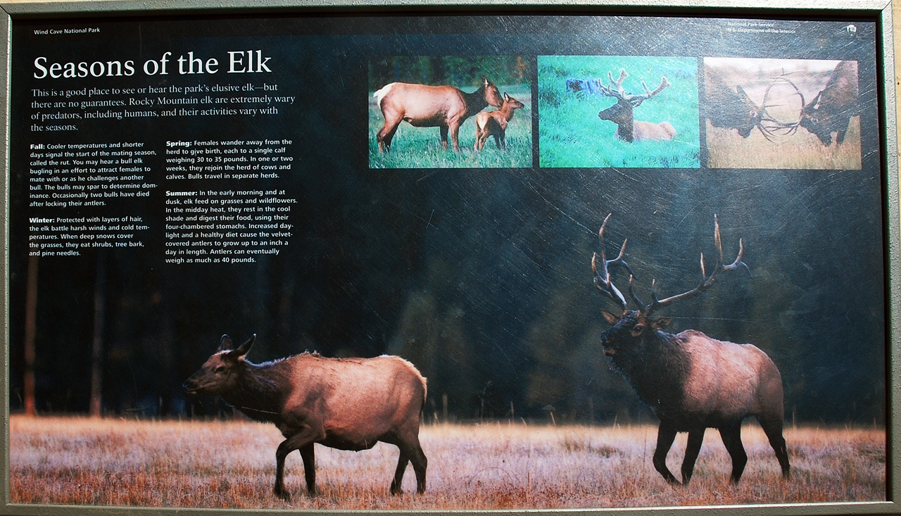 2012-08-21, 004, Wind Cave NP, SD