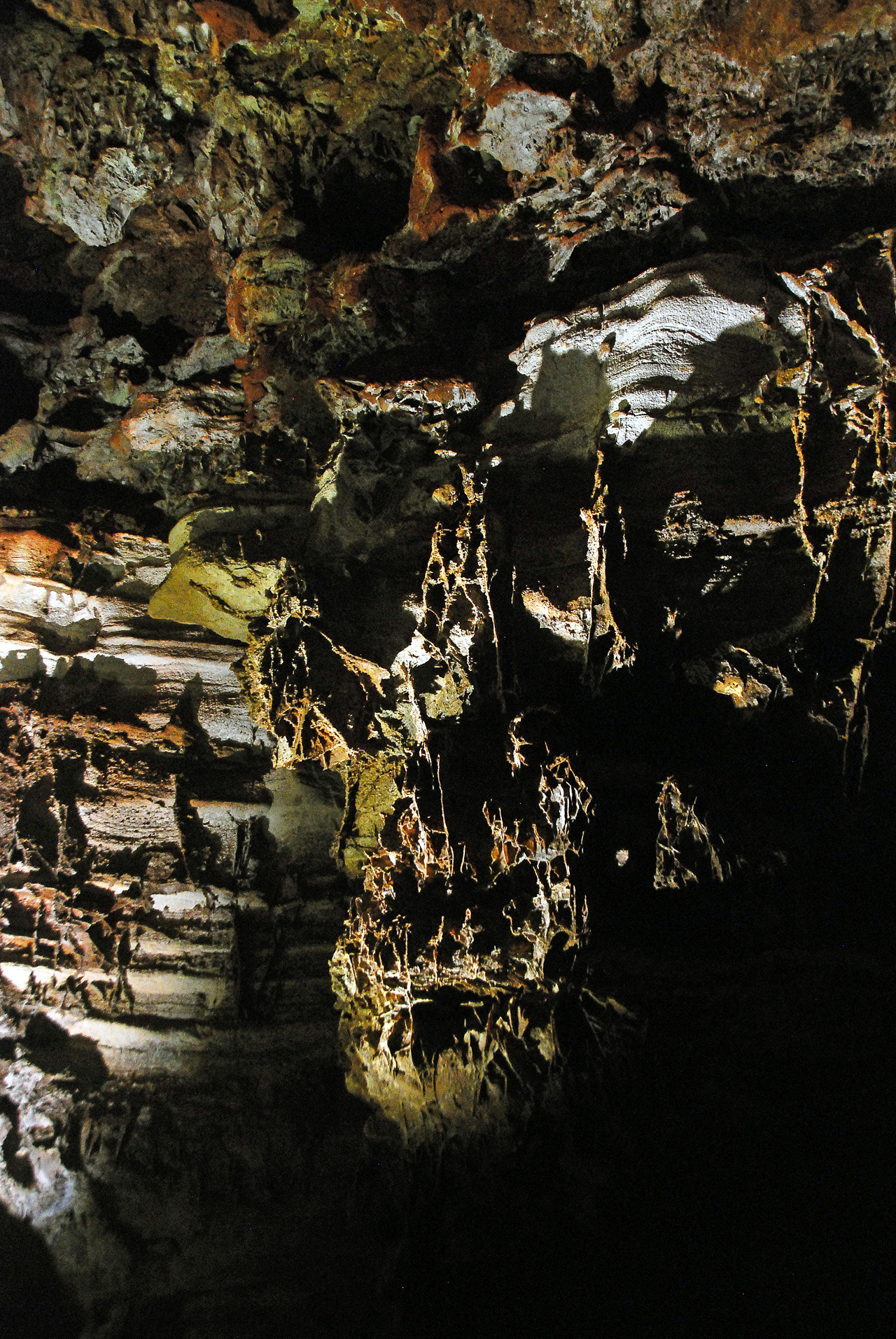 2012-08-21, 016, Wind Cave NP, SD