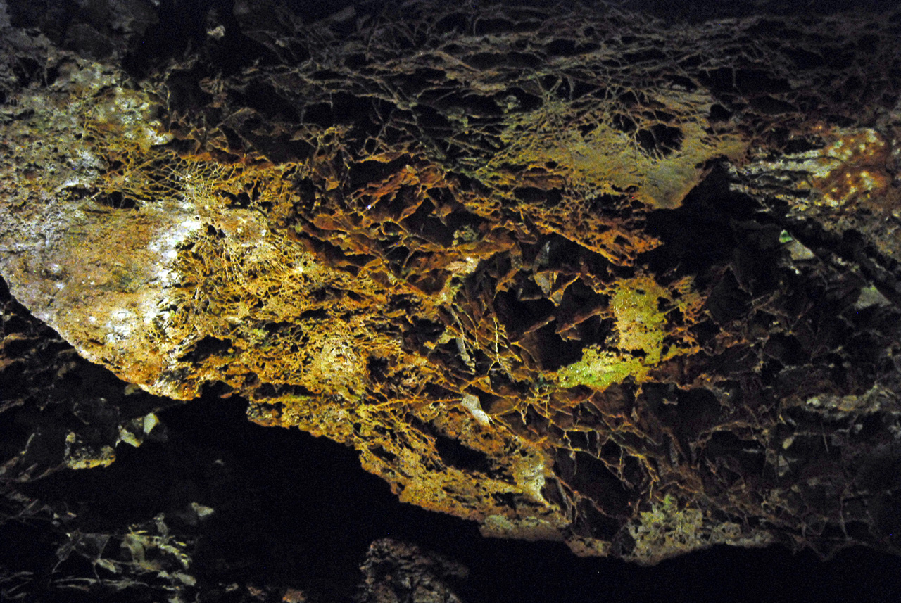 2012-08-21, 018, Wind Cave NP, SD