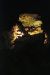 2012-08-21, 025, Wind Cave NP, SD
