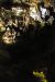 2012-08-21, 062, Wind Cave NP, SD
