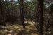 2012-08-30, 009, Painted Canyon, ND