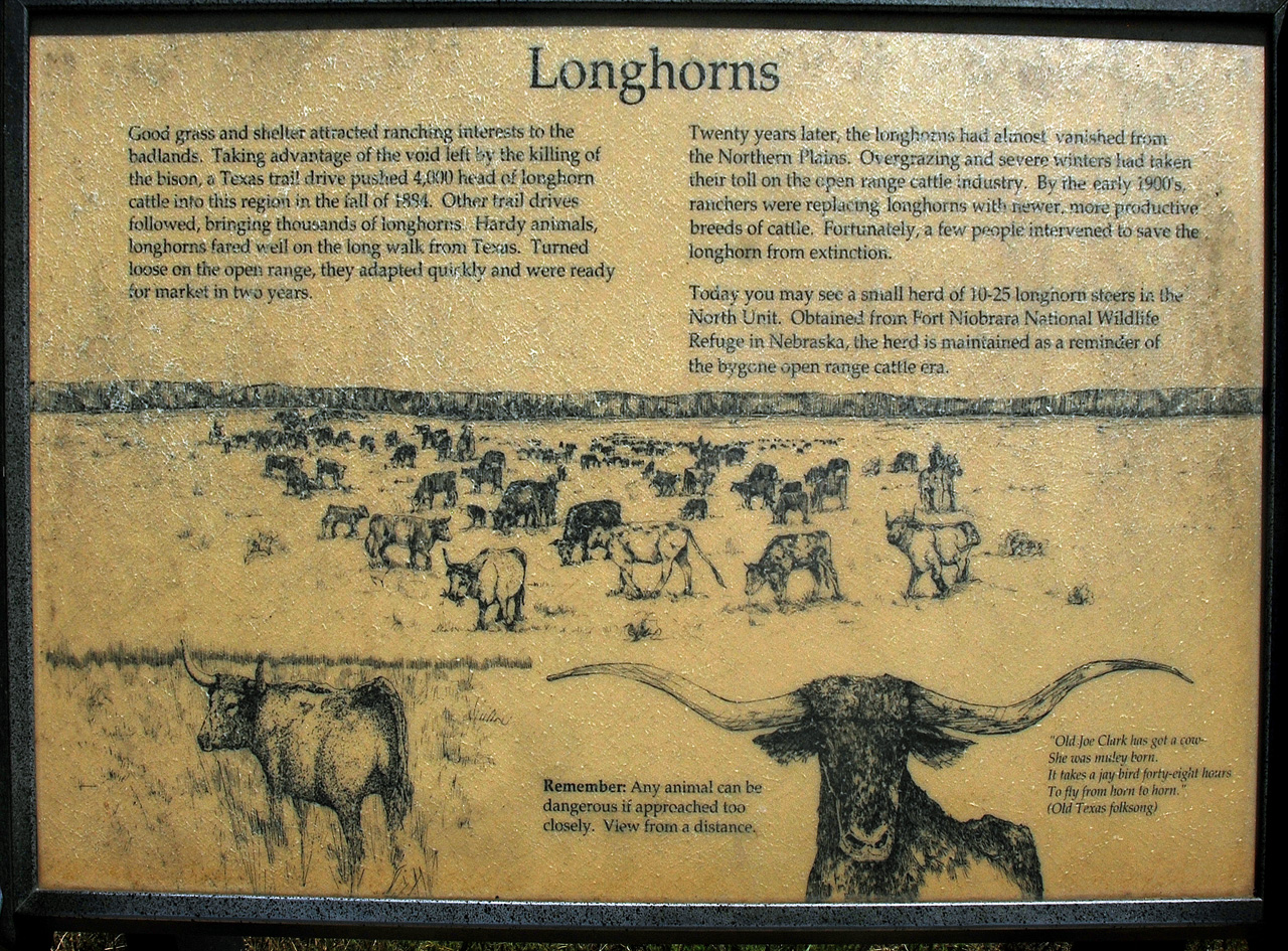 2012-08-29, 012, Theodore Roosevelt NP
