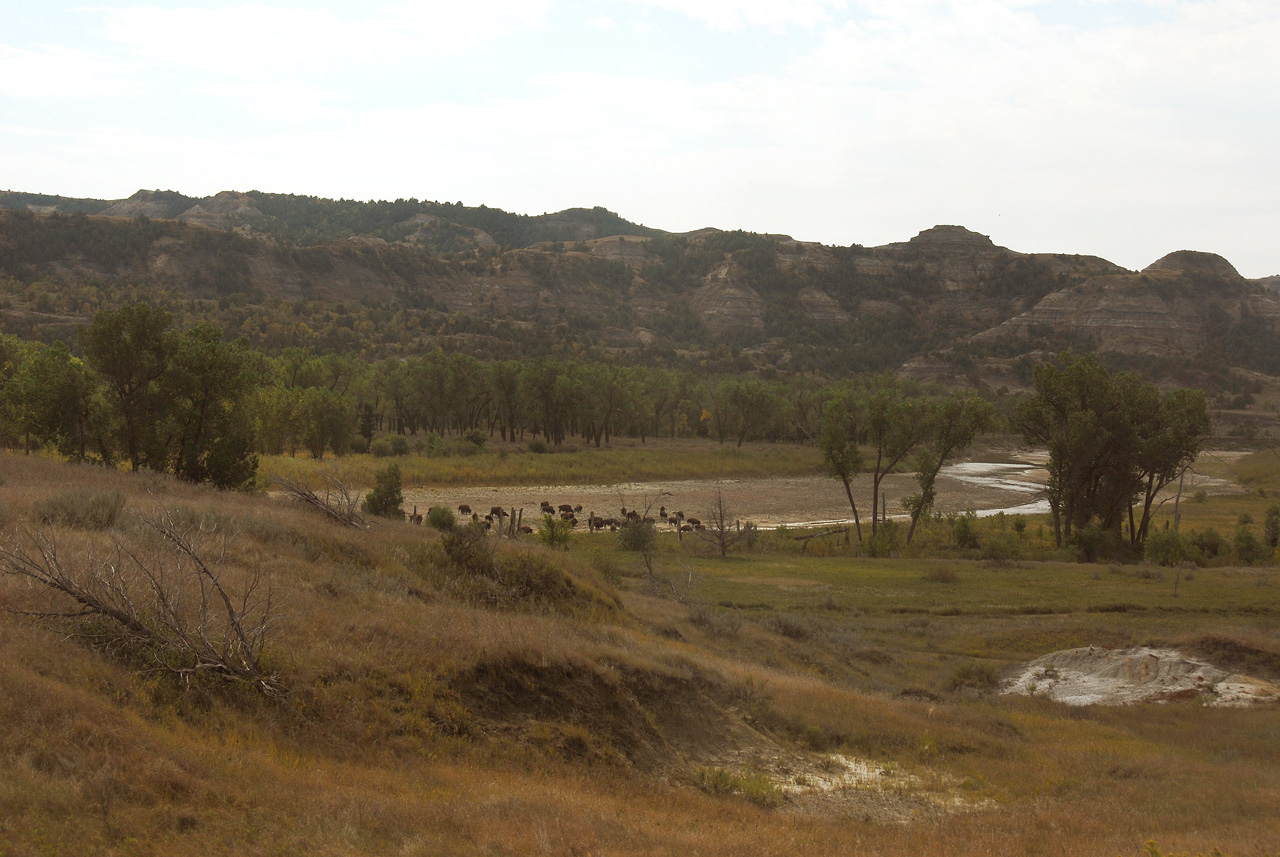 2012-08-29, 020, Theodore Roosevelt NP