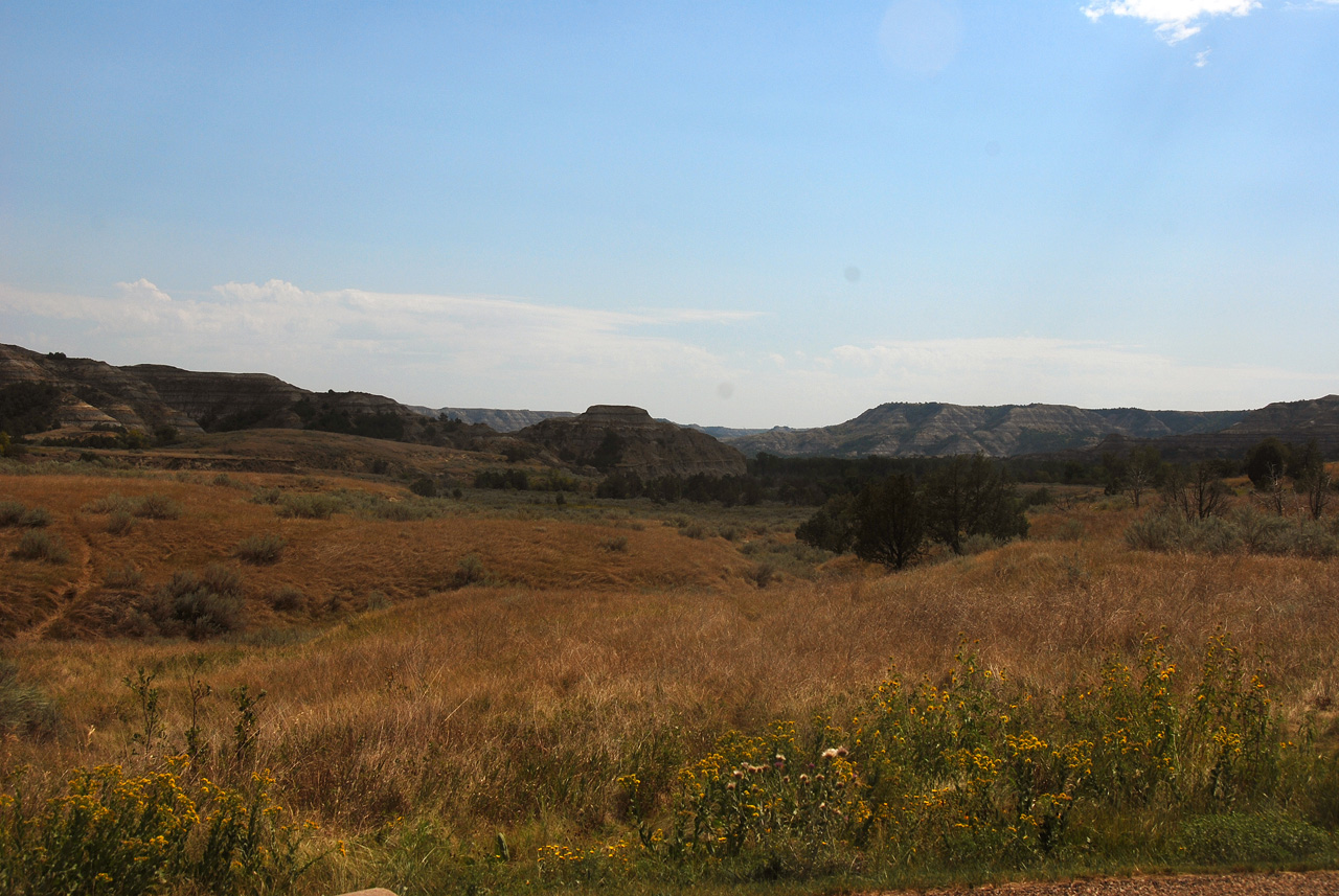 2012-08-29, 025, Theodore Roosevelt NP