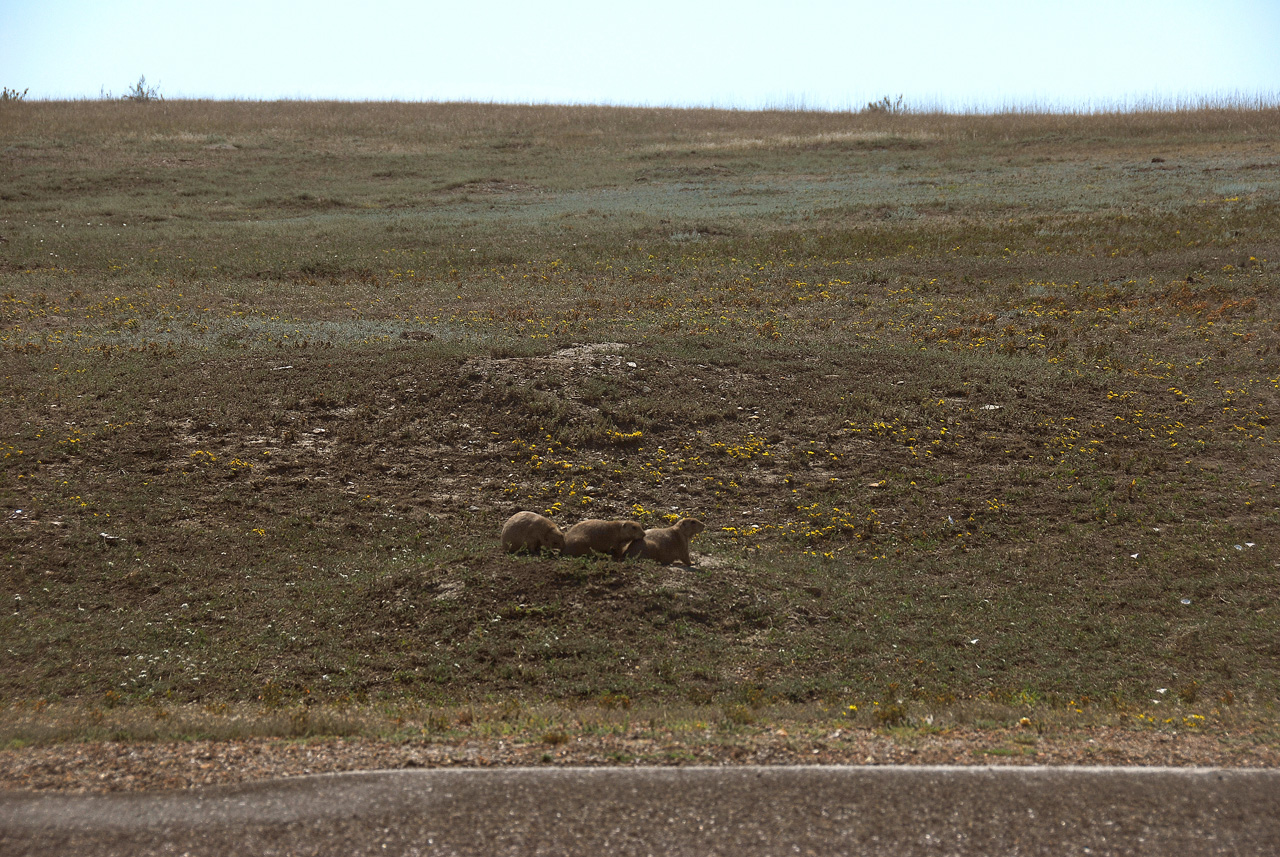 2012-08-28, 007, Theodore Roosevelt NP