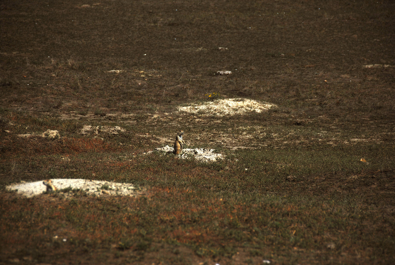 2012-08-28, 008, Theodore Roosevelt NP