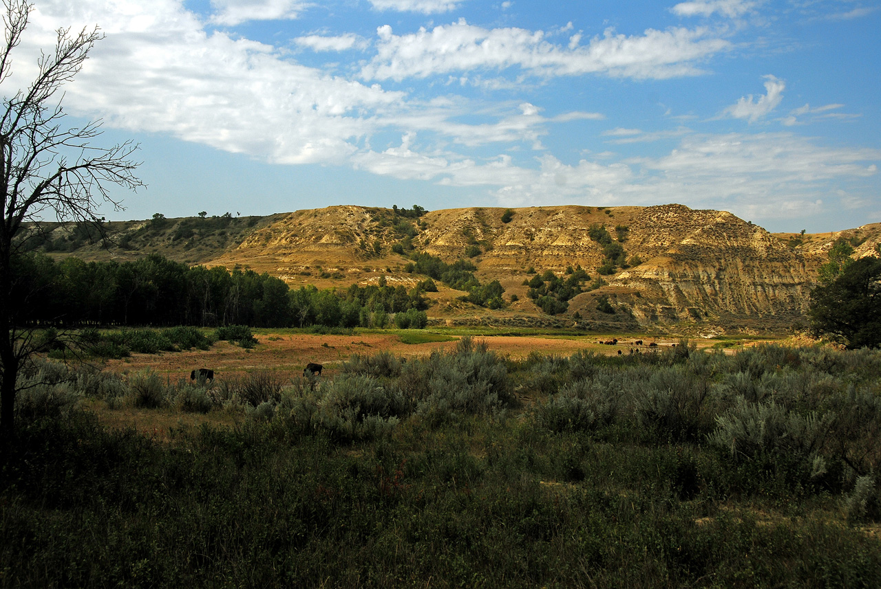 2012-08-28, 015, Theodore Roosevelt NP